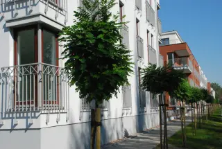 Barciński Park III zdjęcie