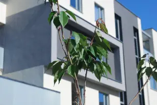 Krakowska I zdjęcie