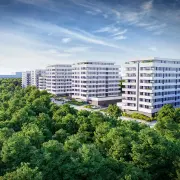 Wizualizacja Sokołówka