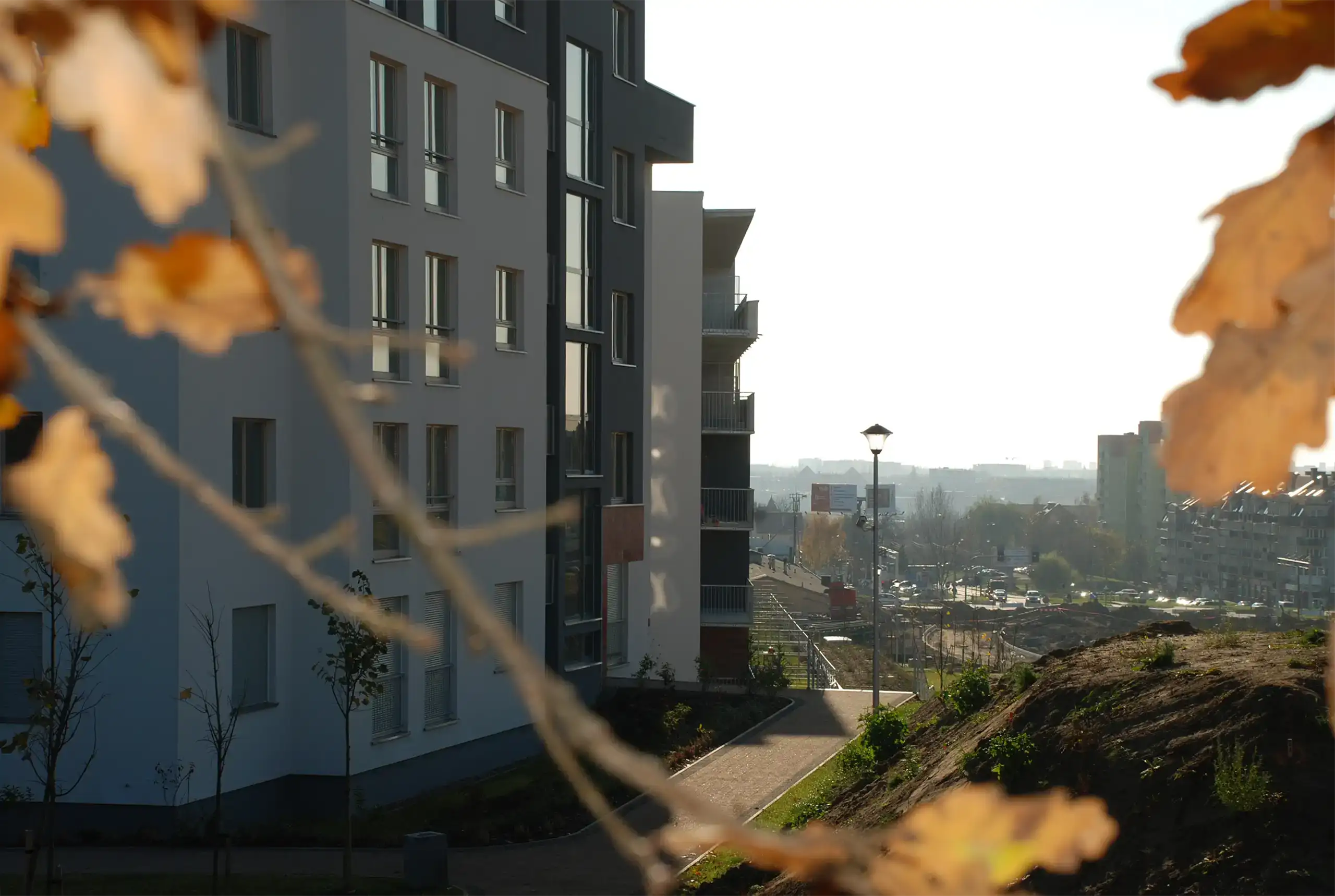 Nowa Cegielnia, Szczecin